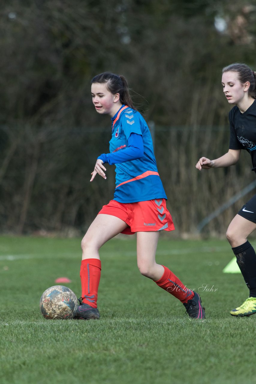 Bild 138 - C-Juniorinnen SV Steinhorst/Labenz - TSV Friedrichsberg-Busdorf : Ergebnis: 5:0